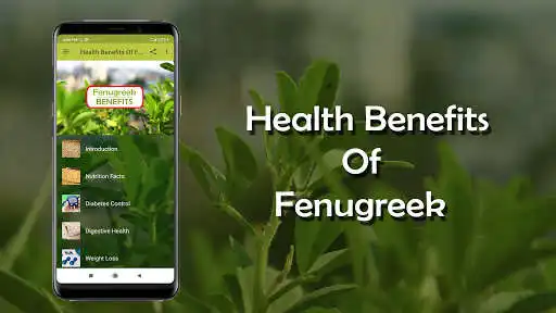 Play Health benefits of Fenugreek  and enjoy Health benefits of Fenugreek with UptoPlay