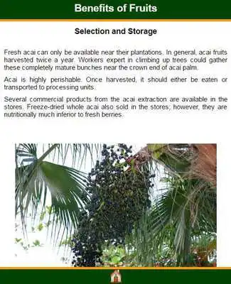 Play Health Benefits of Fruits