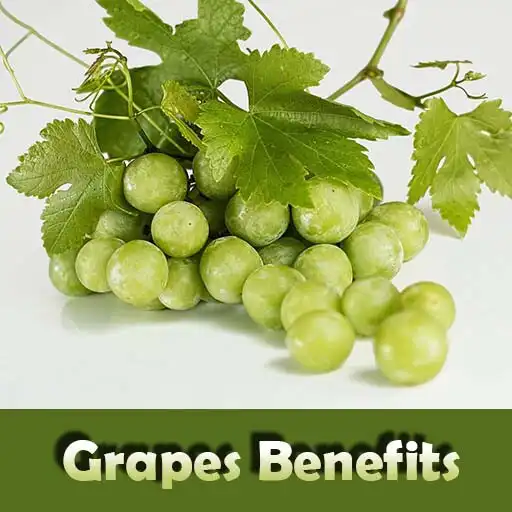 Play Health Benefits of Grapes APK Play Health Benefits of Grapes APK