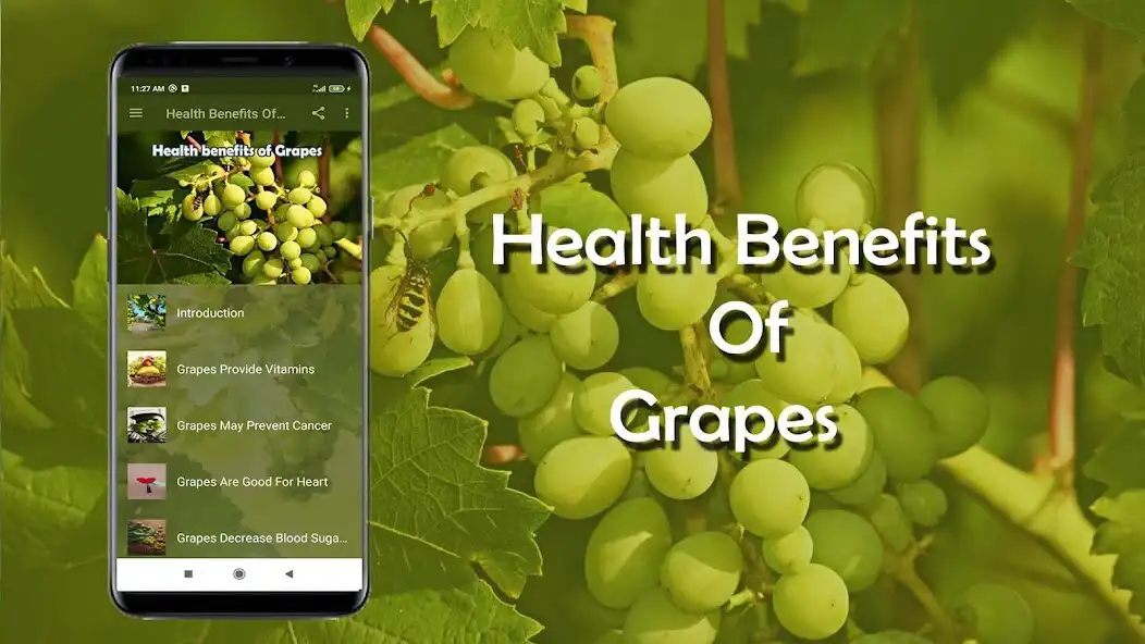 Play Health Benefits of Grapes  and enjoy Health Benefits of Grapes with UptoPlay