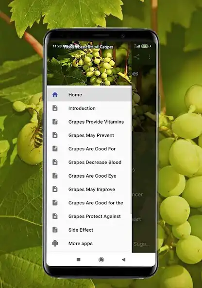 Play Health Benefits of Grapes as an online game Health Benefits of Grapes with UptoPlay