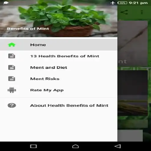 Play Health Benefits of Mint  and enjoy Health Benefits of Mint with UptoPlay