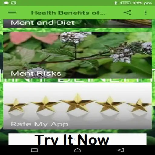Play Health Benefits of Mint as an online game Health Benefits of Mint with UptoPlay