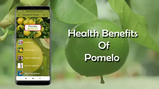 Play Health benefits of Pomelo  and enjoy Health benefits of Pomelo with UptoPlay