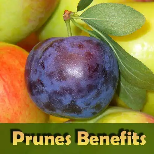 Play Health Benefits of Prunes APK
