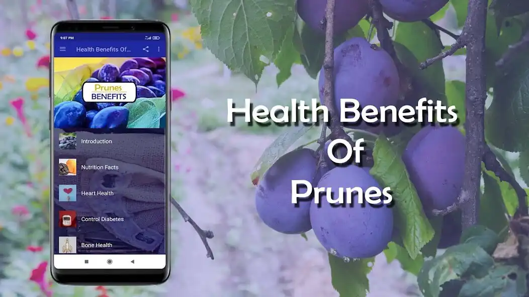 Play Health Benefits of Prunes  and enjoy Health Benefits of Prunes with UptoPlay