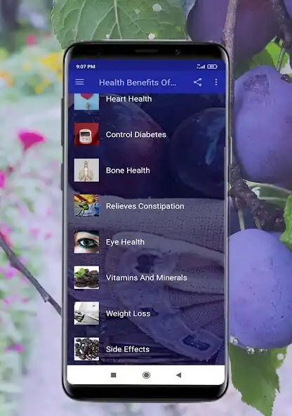 Play Health Benefits of Prunes as an online game Health Benefits of Prunes with UptoPlay