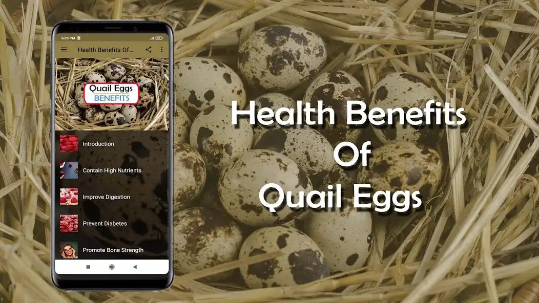 Play Health Benefits Of Quail Eggs  and enjoy Health Benefits Of Quail Eggs with UptoPlay