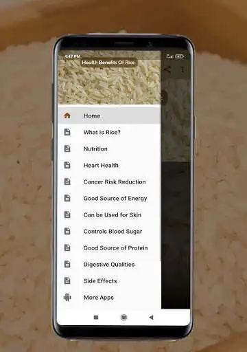 Play Health Benefits Of Rice as an online game Health Benefits Of Rice with UptoPlay
