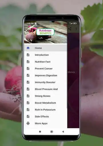 Play Health Benefits of Rutabaga as an online game Health Benefits of Rutabaga with UptoPlay