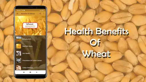 Play Health benefits of wheat  and enjoy Health benefits of wheat with UptoPlay