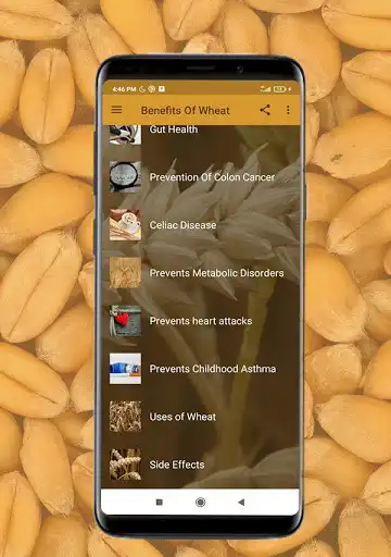 Play Health benefits of wheat as an online game Health benefits of wheat with UptoPlay