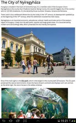 Play Health Social Work