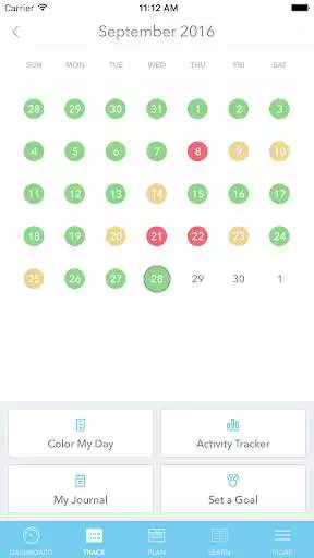 Play HealthTrac