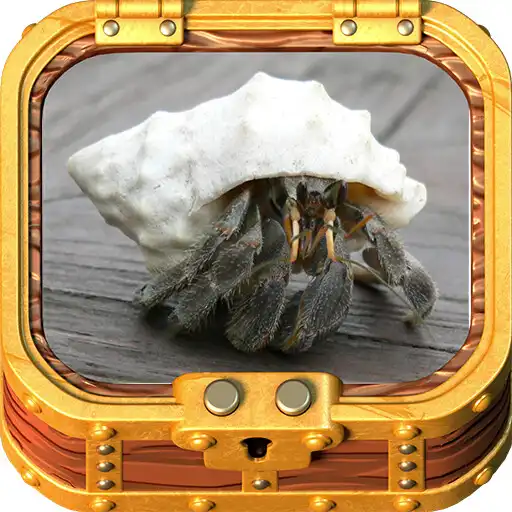 Play Healthy Hermit Crab APK Play Healthy Hermit Crab APK