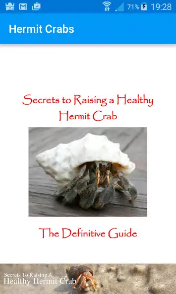 Play Healthy Hermit Crab as an online game Healthy Hermit Crab with UptoPlay