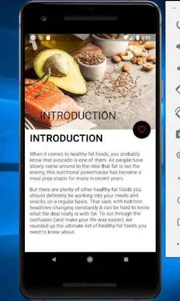 Play Healthy High Fat Foods - Diet as an online game Healthy High Fat Foods - Diet with UptoPlay