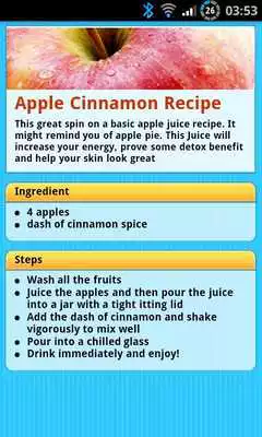 Play Healthy Juice Recipes Lite