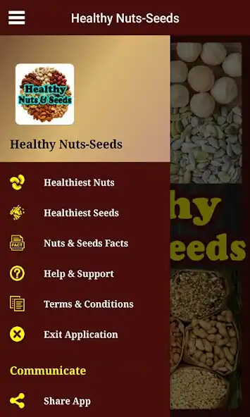Play Healthy Nuts-Seeds as an online game Healthy Nuts-Seeds with UptoPlay
