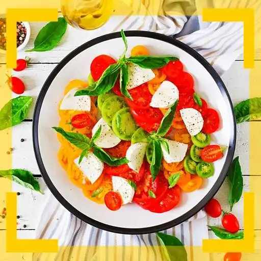 Free play online Healthy Salad Recipes APK