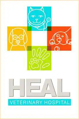 Play HEAL vet
