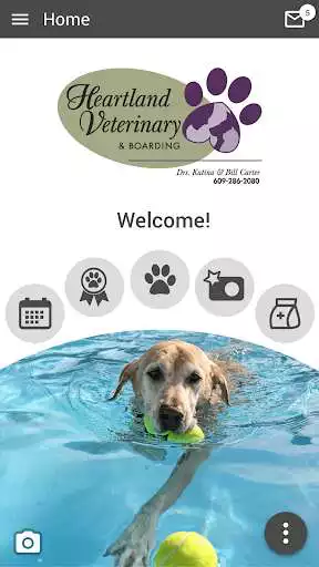 Play Heartland Vet NJ