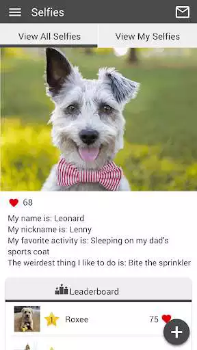 Play Heartland Vet NJ