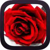 Free play online Heart Love Images APK Free play online Heart Love Images APK