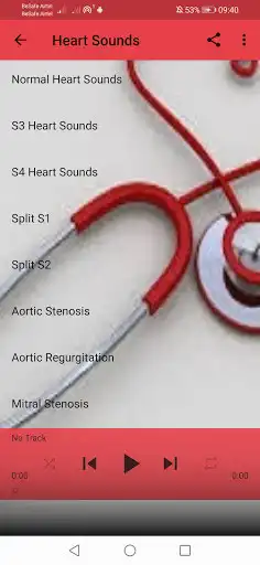 Play Heart Sounds as an online game Heart Sounds with UptoPlay