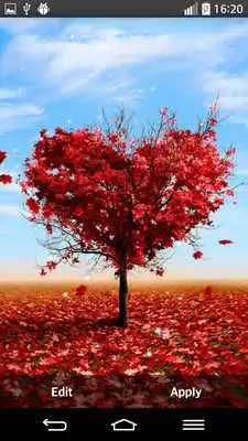 Play Heart Tree Live Wallpaper