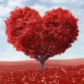 Free play online Heart Tree Love APK