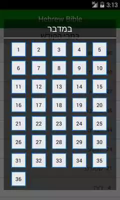 Play Hebrew Bible Offline