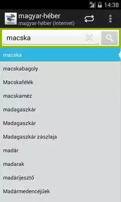Play Hebrew-Hungarian Dictionary