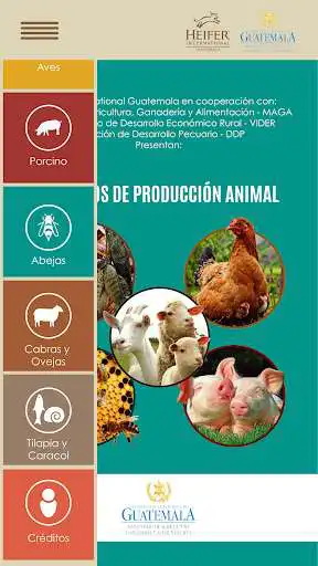 Play HEIFER MAGA as an online game HEIFER MAGA with UptoPlay