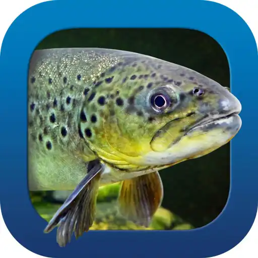 Play Heintges Angelschein Trainer APK