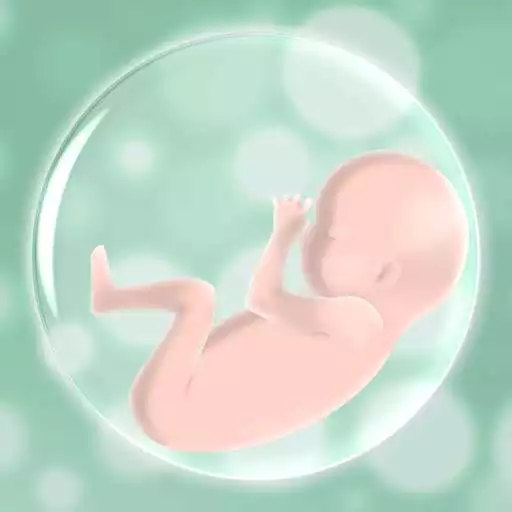 Play Hello! Baby APK Play Hello! Baby APK