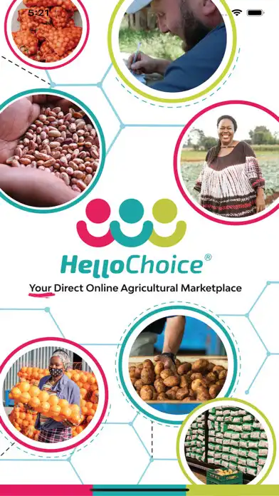Play HelloChoice  and enjoy HelloChoice with UptoPlay