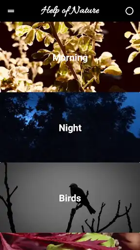 Play Help of Nature as an online game online Help of Nature with UptoPlay Play Help of Nature as an online game Help of Nature with UptoPlay