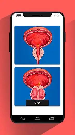 Play Help your dignity as an online game Help your dignity with UptoPlay