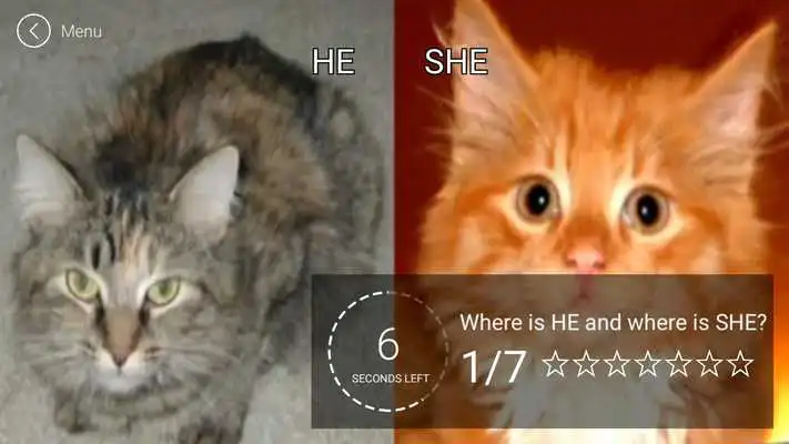 Play He or She? Play He or She?