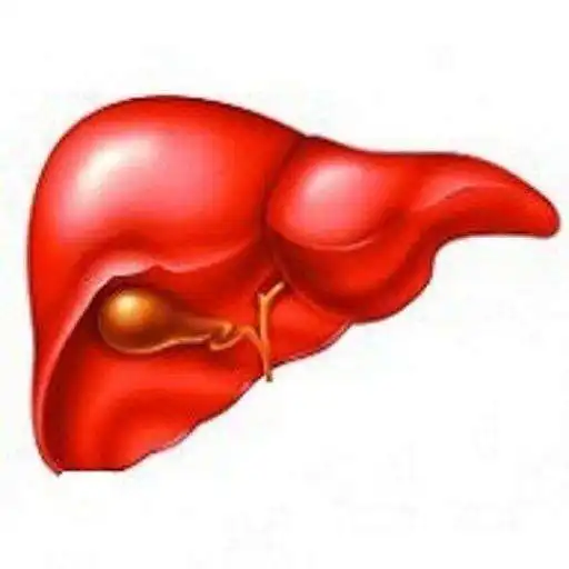Free play online Hepatology  Diseases APK