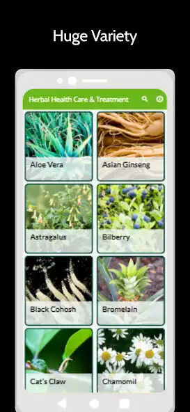 Play Herbal Health Caretreatment  and enjoy Herbal Health Caretreatment with UptoPlay