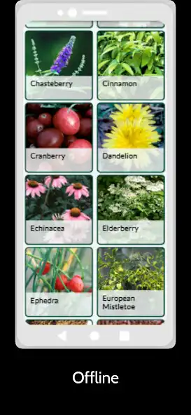 Play Herbal Health Caretreatment as an online game Herbal Health Caretreatment with UptoPlay