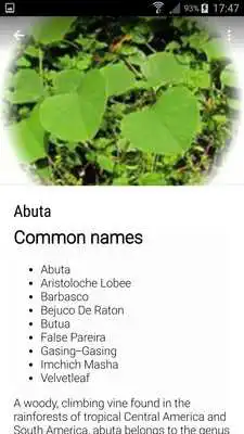 Play Herbal Medicinal Plants