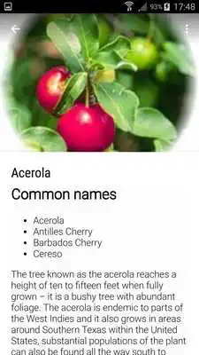 Play Herbal Medicinal Plants