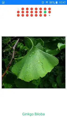 Play Herbal medicine as an online game Herbal medicine with UptoPlay