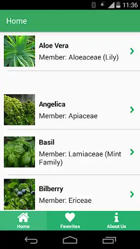 Play Herbalpedia as an online game Herbalpedia with UptoPlay