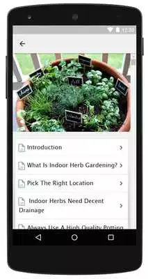 Play Herb Garden Ideas For Beginner