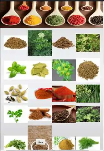 Play Herbs and Spices Benefits. as an online game Herbs and Spices Benefits. with UptoPlay