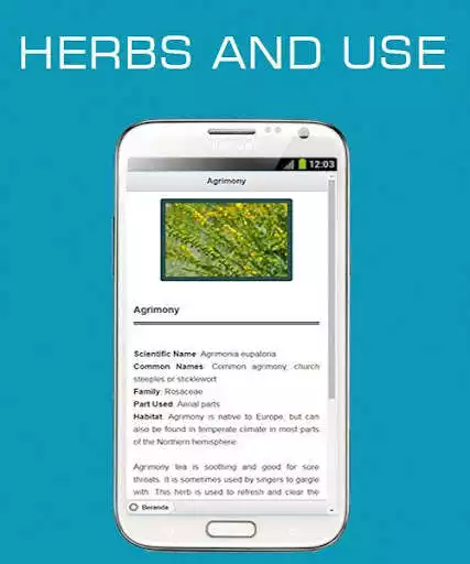 Play Herbs and Use OFFLINE